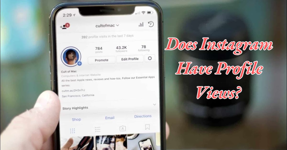 Does Instagram Have Profile Views? 